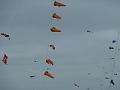 Fanø 2010 100